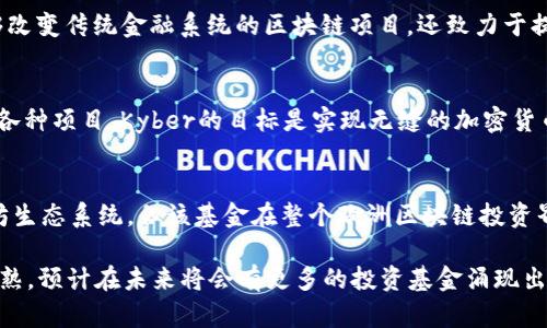 在欧洲，区块链技术的迅速发展吸引了大量投资者的关注，形成了一系列专注于区块链和加密货币的投资基金。以下是一些知名的欧洲区块链投资基金:

1. Blockchain Capital
Blockchain Capital成立于2013年，是世界上第一个专注于区块链技术和数字货币的投资基金之一。虽然总部位于美国，但在欧洲市场也有显著的影响力。该基金已成功投资于多家区块链初创公司，如Coinbase和Ripple，推动了整个行业的发展。

2. Digital Currency Group (DCG)
Digital Currency Group不仅在美国活跃，在欧洲的区块链领域也有不小的投资布局。DCG专注于加密货币和区块链技术的投资与孵化，是全球最大的区块链投资公司之一。他们投资了数十家初创公司，并且在推动行业发展的同时，也促进了区块链技术的普及。

3. Fabric Ventures
Fabric Ventures是一家专注于区块链和分布式技术的投资基金，它在欧洲的各个角落寻找具有破坏性创新潜力的初创企业。此基金致力于支持以区块链为核心的项目，旨在推动社会和经济的变革。

4. Outlier Ventures
Outlier Ventures专注于加速和投资区块链相关的项目，尤其是那些在去中心化金融（DeFi）、非同质化代币（NFT）和Web 3.0领域内有巨大潜力的公司。该基金在业界享有很高的声誉，并且通过其加速器项目帮助初创企业成长。

5. Corona Capital
Corona Capital是一家位于欧洲的投资基金，专注于区块链技术和创新金融解决方案。该基金重点关注能够改变传统金融系统的区块链项目，还致力于提供战略性指导和资源，帮助投资组合中的公司成长。

6. Kyber Network
Kyber Network是一个以去中心化流动性为核心的区块链项目，其投资基金专门支持区块链生态系统中的各种项目。Kyber的目标是实现无缝的加密货币交换体验，并推动区块链技术的主流使用。

7. ConsenSys Ventures
ConsenSys Ventures 是ConsenSys团队的一部分，致力于投资以以太坊为基础的项目。尽管它源于以太坊生态系统，但该基金在整个欧洲区块链投资界也扮演着重要角色，促进了去中心化应用程序和平台的发展。

这些基金不仅提供资金支持，还为许多区块链项目带来了宝贵的经验和网络资源。随着区块链技术的不断成熟，预计在未来将会有更多的投资基金涌现出来，进一步推动这一行业的发展。