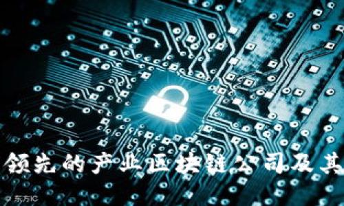 全球领先的产业区块链公司及其示例