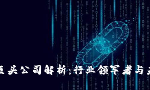 区块链巨头公司解析：行业领军者与未来趋势