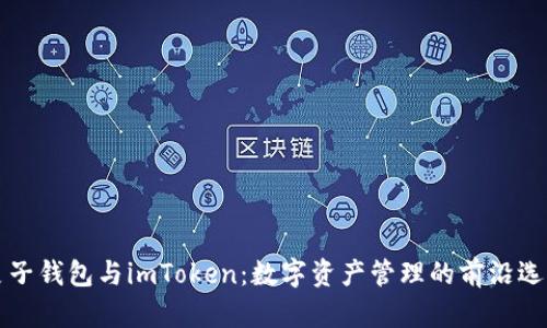 麦子钱包与imToken：数字资产管理的前沿选择