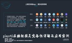 giaoti区块链图灵完备性详解及应用实例