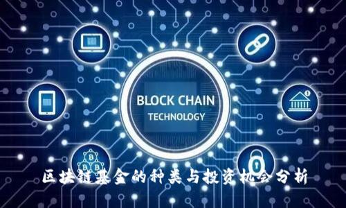 区块链基金的种类与投资机会分析