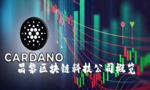 昌黎区块链科技公司概览