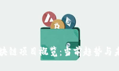 全球区块链项目概览：当前趋势与未来展望